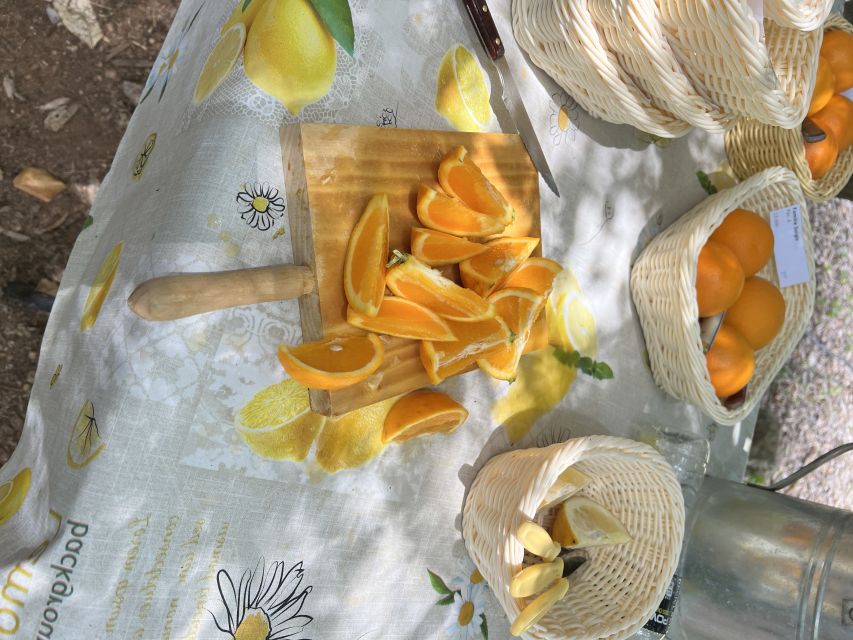 Palma: Orange Valley Vintage Train and Orange Farm Tour - A short van transfer into Sóller’s orange country
