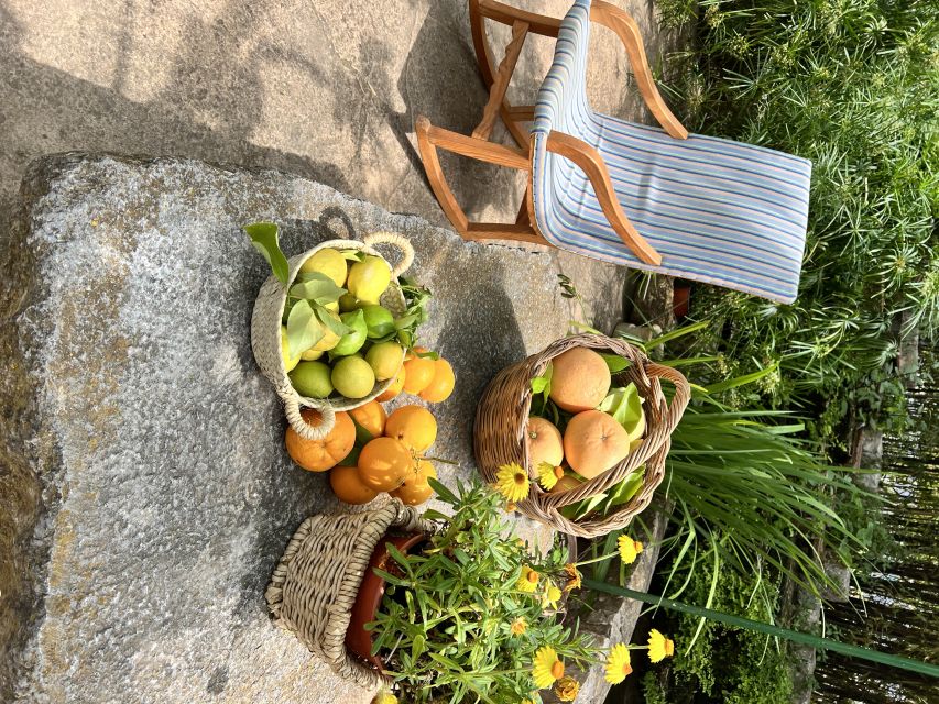 Palma: Orange Valley Vintage Train and Orange Farm Tour - Starting at Palma’s old railway station