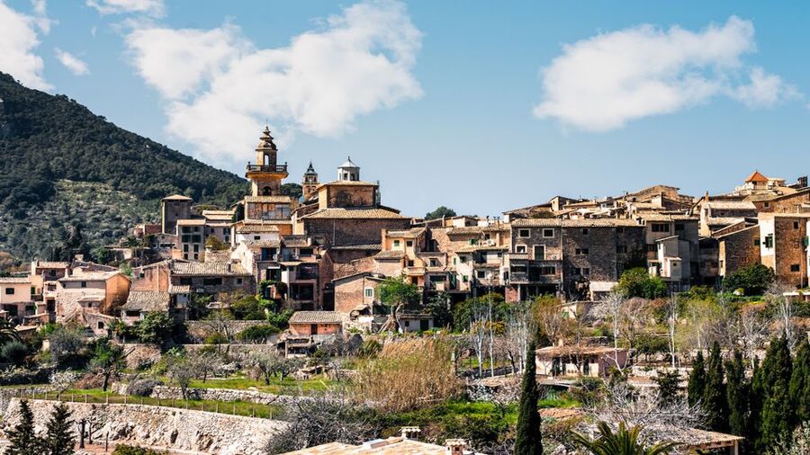 Palma: Tramuntana Full-Day Tour with Sóller Train and Lunch - Meeting the guide at Palma’s Sóller station