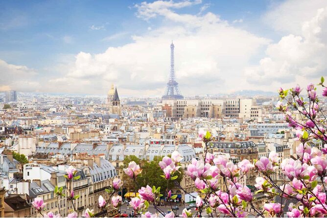 Paris by Rail with Sightseeing Bus and River Seine Lunch Cruise - Why the Seine lunch cruise matters