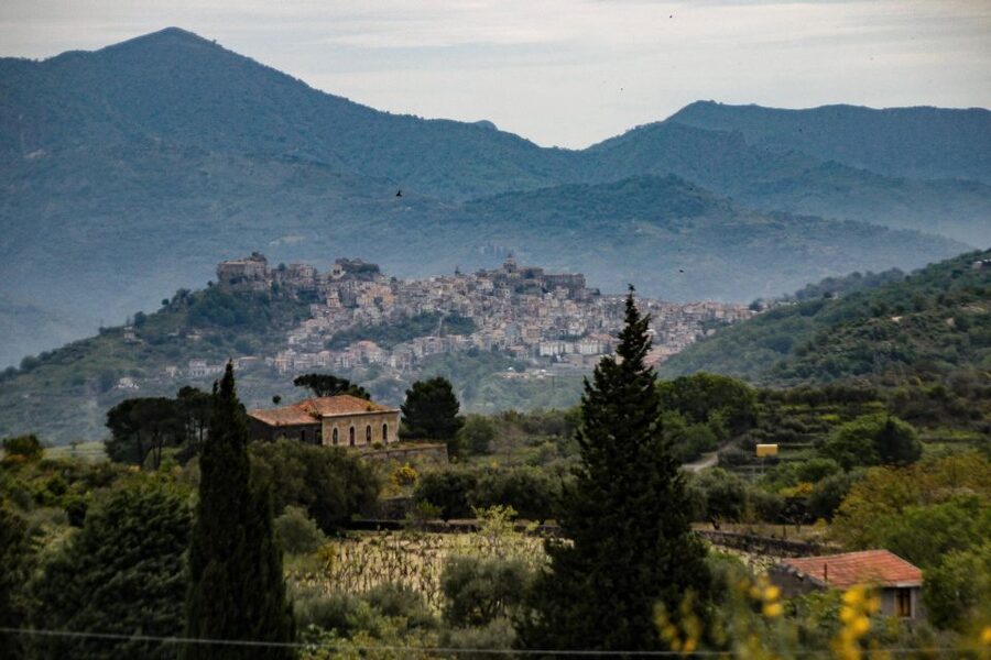 Piedimonte Etneo: Etna Wine Train Tour & Sicily Wine tasting - The second winery keeps the day focused