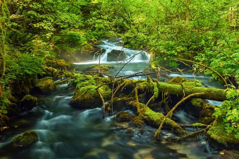 Plitvice Lakes: Guided Walking Tour with Train and Boat Ride - Why Plitvice Lakes works best with a route