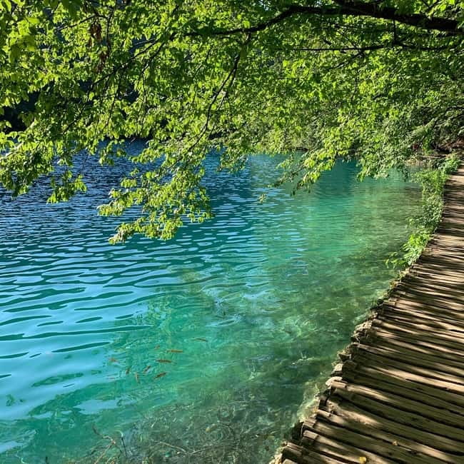 Plitvice Lakes National Park: Walking, Boat, and Train Tour - Crossing Kozjak Lake by panoramic boat