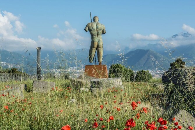 Pompeii and Naples Tour from Rome by Train with Lunch - Practical ways to make the day easier