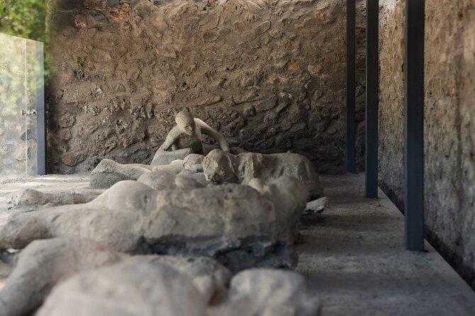 Pompeii Express Day Trip: High-Speed Train from Rome - Five hours to make Pompeii your own