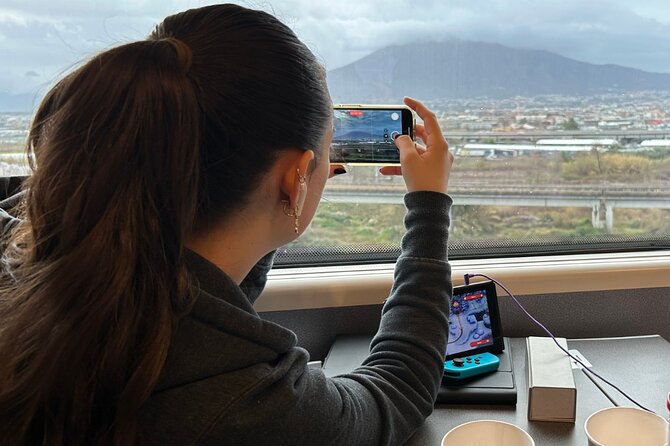 Pompeii Express Day Trip: High-Speed Train from Rome - Who should book this Pompeii day trip?