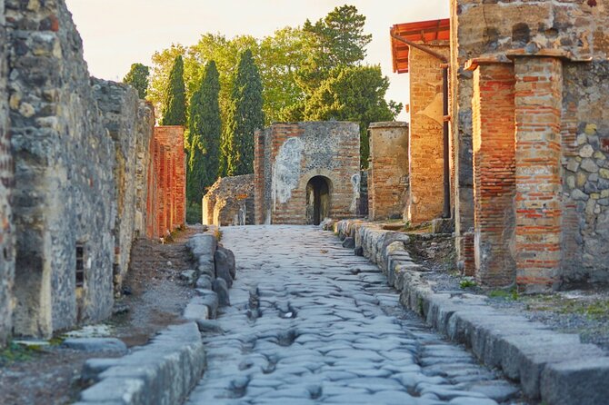 Pompeii Express Day Trip: High-Speed Train from Rome - The one-hour fast train to Naples