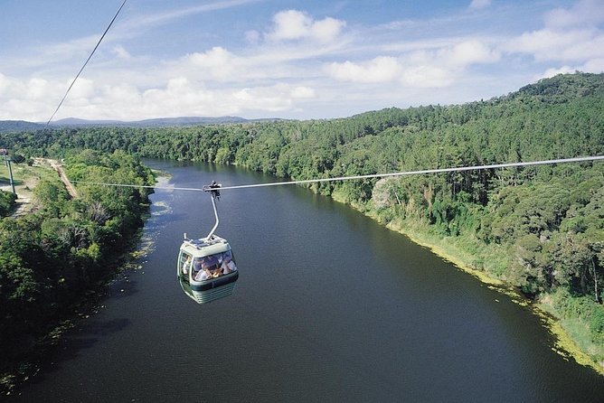 Port Douglas: Kuranda tour with Skyrail or Scenic Train - Kuranda village, markets, and lunch