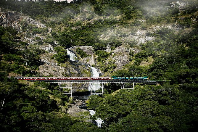 Port Douglas: Kuranda tour with Skyrail or Scenic Train - Optional wildlife and cultural stops