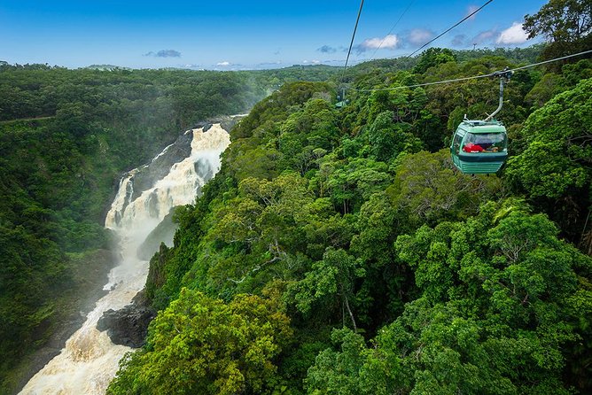 Port Douglas: Kuranda tour with Skyrail or Scenic Train - Is the $118.35 price good value?