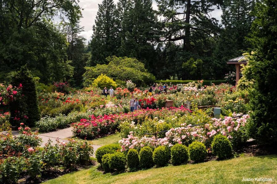 Portland, Oregon: City Highlights Tour with Aerial Tram Ride - Downtown, the Park Blocks, and Washington Park