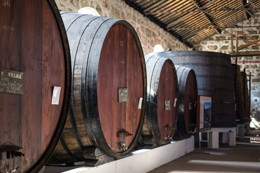 Porto: City Train Tour, River Cruise & Wine Cellar - Returning through the center