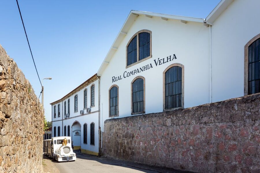 Porto: City Train Tour, River Cruise & Wine Cellar - Who will enjoy it most?
