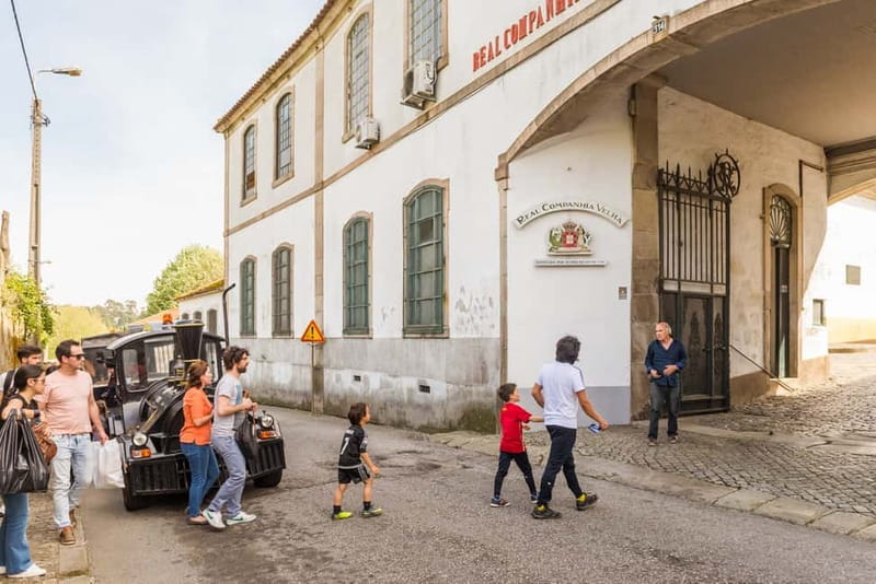 Porto: Magic Train Tour and Port Wine Cellar with Tastings - Key points to know before you book