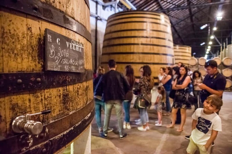 Porto: Magic Train Tour and Port Wine Cellar with Tastings - A practical introduction to Porto in two hours