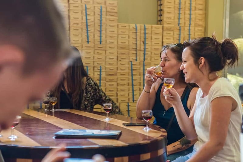 Porto: Magic Train Tour and Port Wine Cellar with Tastings - From Sé Cathedral to Batalha Square