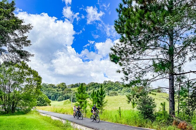 Premium E Bike Hire at the Northern Rivers Rail Trail - Key details before you ride