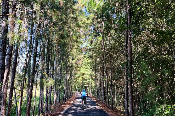 Premium E Bike Hire at the Northern Rivers Rail Trail - Crabbes Creek and Mooball set the tone