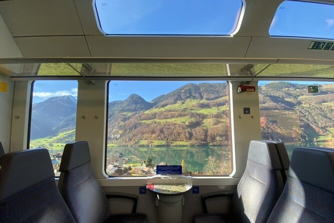 Premium Panoramic Train, Lucerne Old Town and Interlaken Tour - Who should book this train tour?