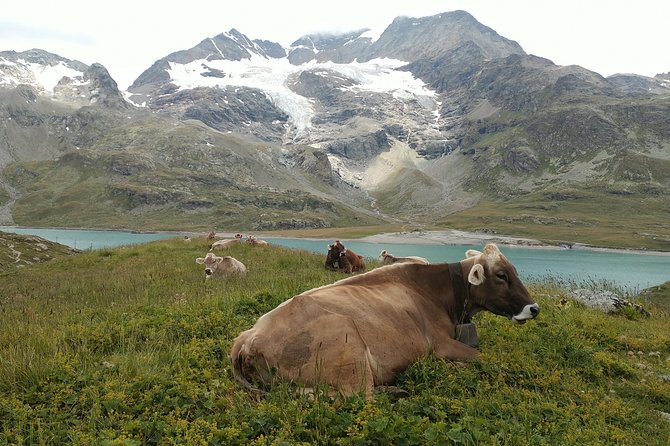 PRIVATE Bernina train, Sankt Moritz & Wines Guided tour from Lake Como or Milan - A private guide makes the long day easier