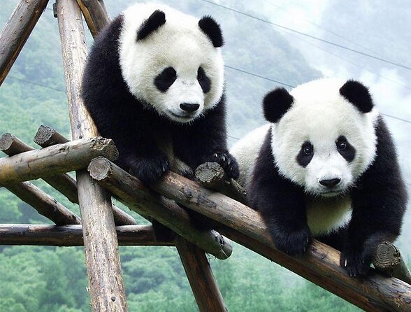 Private Chengdu Highlights Day Trip: Panda Base and City from Xi'an by Train - Why the Xi’an to Chengdu train makes this day possible