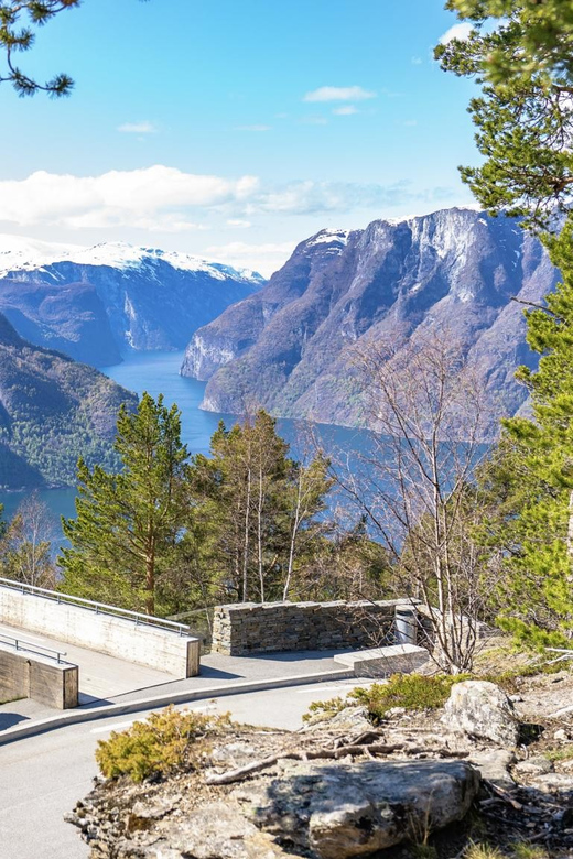 Private Day Tour- Flam Railway & Fjord Cruise From Bergen - Who Will Get the Most From This Tour