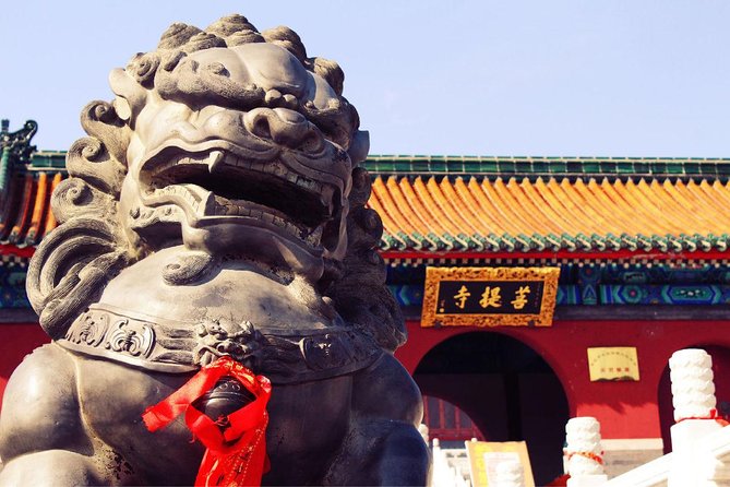 Private Day Tour to Shaolin Temple from Beijing by Bullet Train with Kungfu Show - Meeting Your Guide in Zhengzhou