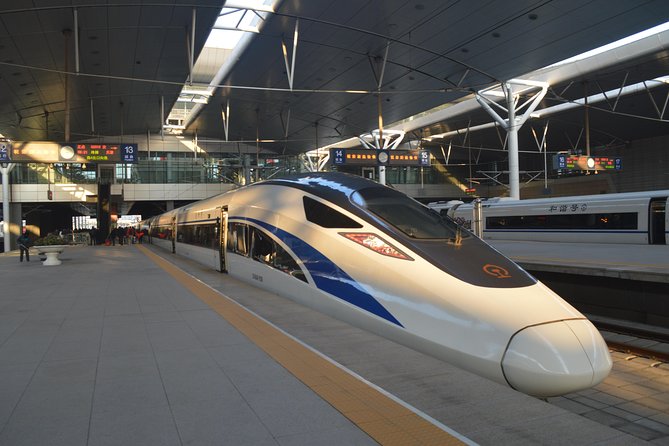 Private Day Trip to Terracotta Army from Beijing by Bullet Train - The bullet train to Xi’an