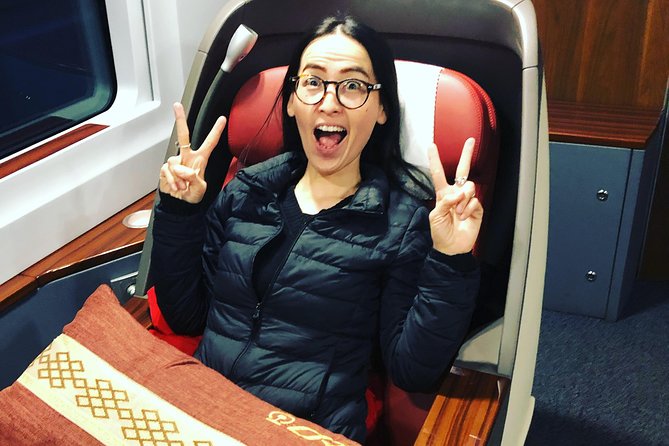 Private Day Trip to Terracotta Army from Beijing by Bullet Train - Returning to Beijing late at night
