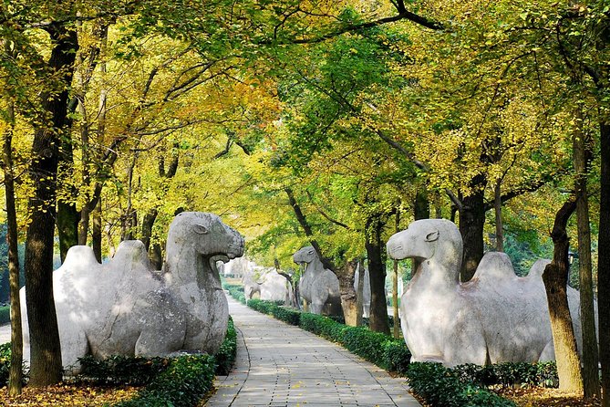 Private Flexible Nanjing City Day Trip from Shanghai by Bullet Train - Sun Yat-sen Mausoleum on Purple Mountain