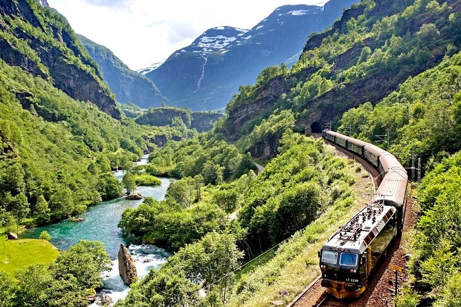 Private Full-Day Round Trip from Oslo to Sognefjord via Flåm Railway - What the private format really adds