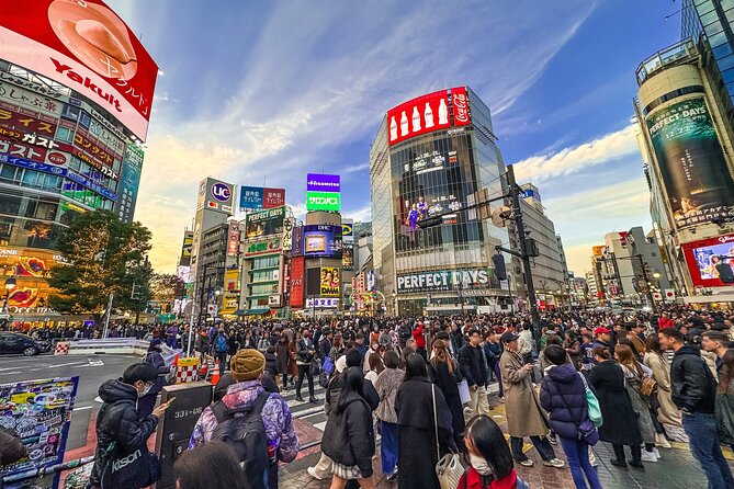 Private Full-day Tokyo Walking Subway Tour by Japan Gray Line - Key points to know before booking