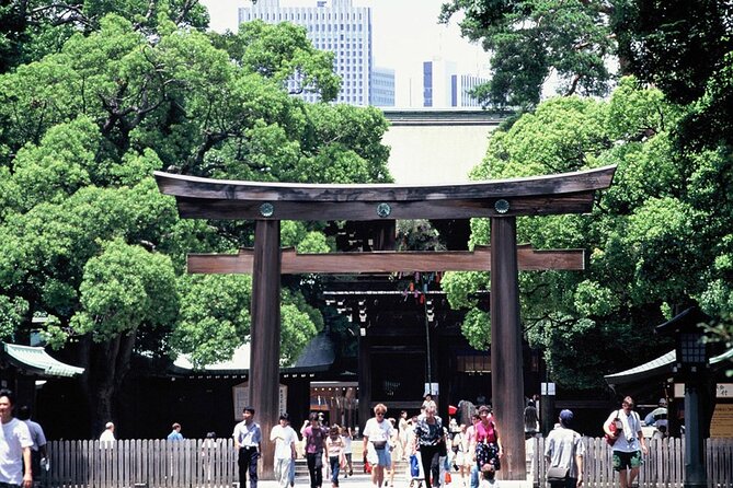 Private Full-day Tokyo Walking Subway Tour by Japan Gray Line - Meiji Shrine, Tokyo’s quiet opening