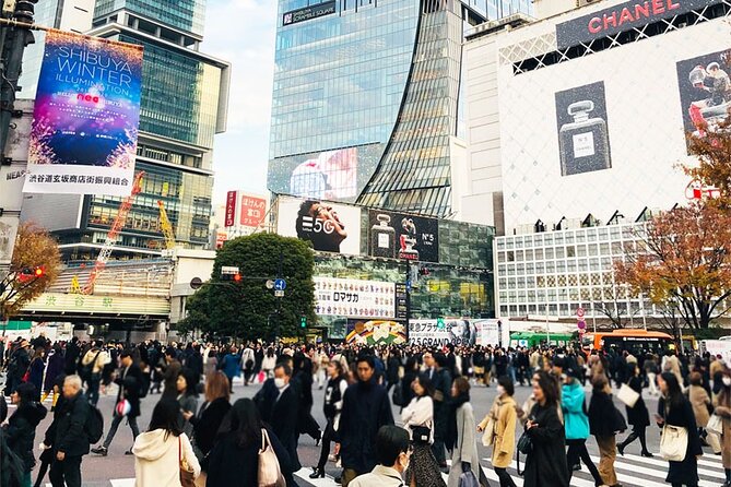 Private Full-day Tokyo Walking Subway Tour by Japan Gray Line - Tokyo Tower and the 150-meter view