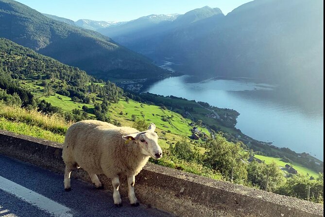 Private Guided Tour to Oslo Nærøyfjord Cruise and Flåm Railway - Why this route works so well