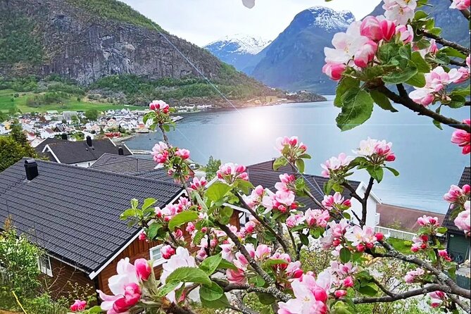 Private Guided Tour to Oslo Nærøyfjord Cruise and Flåm Railway - Aurlandsfjord and Flåm