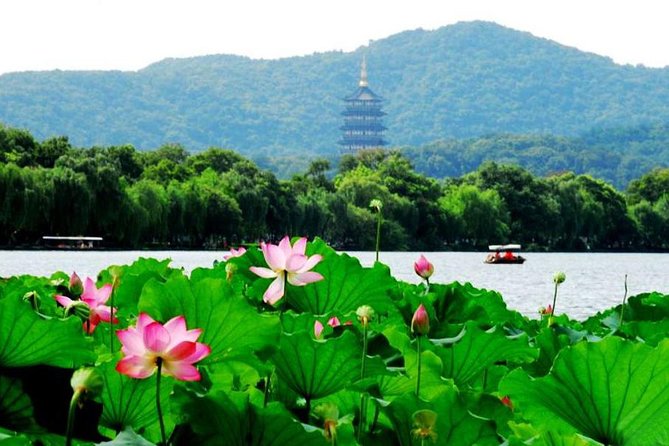 Private Hangzhou Day Tour from Shanghai by Bullet Train - Key points to know before booking