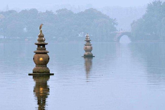 Private Hangzhou Day Tour from Shanghai by Bullet Train - Longjing village and the tea fields