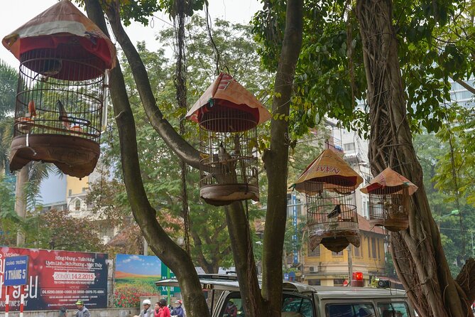 Private Hanoi Half-Day Tour: Train Street and Must Visit Places - Hanoi Train Street and the café pause