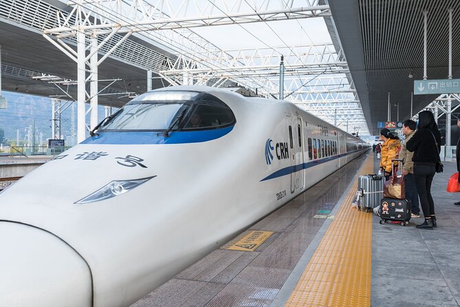 Private High-speed Train Arrival Transfer: Xi'an Bei (North) Station to Hotel - Arriving at Xi’an North Station without the usual scramble