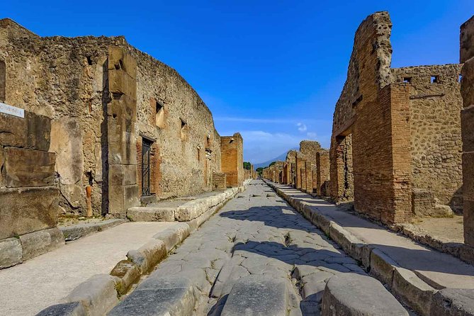 Private Pompeii Day Trip From Rome by Fast Train to Naples and Car Service - Key points to know before booking