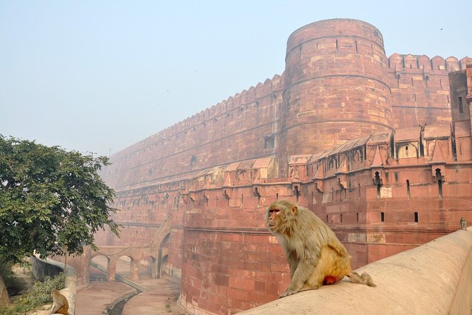 Private Taj Mahal & Agra Tour by Express Train From - Delhi - A private car and guide keep the day moving