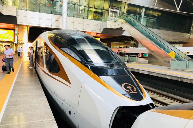 Private Tianjin Port Departure Transfer from Beijing by Bullet Train Experience - Why the Beijing to Tianjin train makes sense
