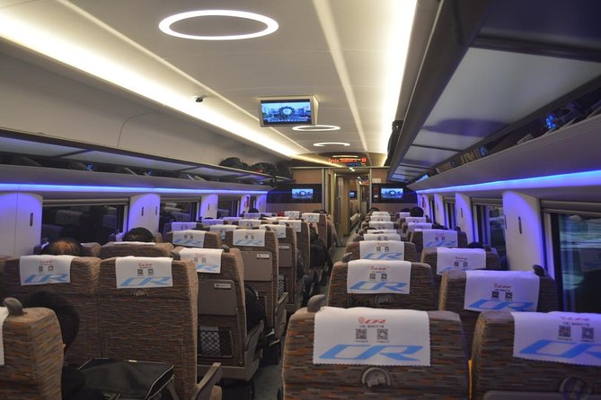 Private Tianjin Port Departure Transfer from Beijing by Bullet Train Experience - Who should book this private transfer