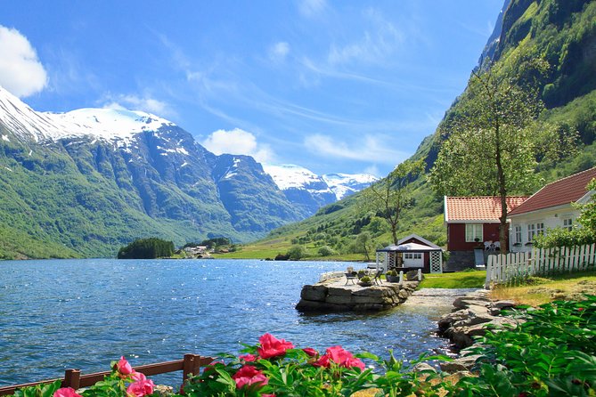 Private tour, Bergen to Oslo - Nærøyfjord Cruise & Flåm Railway - The Bergen Railway across high Norway