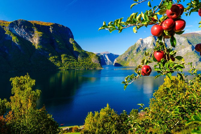 Private tour, Bergen to Oslo - Nærøyfjord Cruise & Flåm Railway - Booking advice before you pay