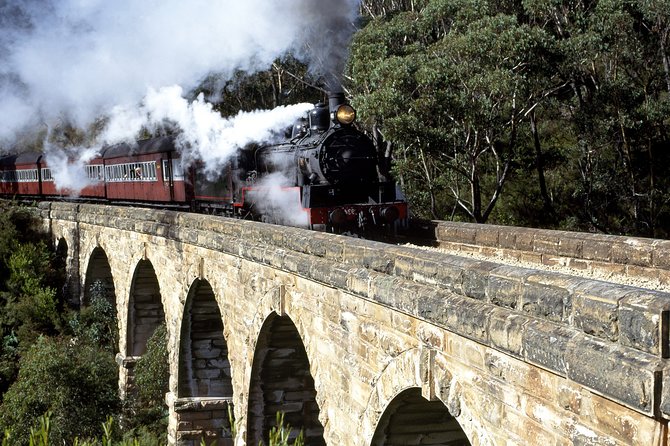 [Private Tour] Healesville Sanctuary Wildlife & Puffing Billy Steam Train - Two Victorian highlights in one long day