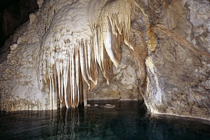 Private Tour Kalavrita, Cave lakes, Odontotos Railway from Patras - The Kalavryta Holocaust Museum adds difficult history