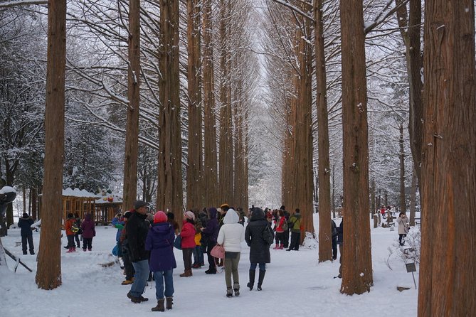 Private Tour Rail Bike & Nami Island & (Petite France or Garden of Morning Calm) - Nami Island gives you the widest stretch of free time