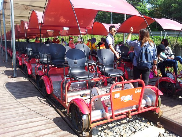 Private Tour Rail Bike & Nami Island & (Petite France or Garden of Morning Calm) - The Garden of Morning Calm changes with the season